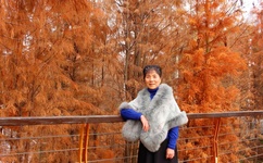 你弄得人家里都是水好大文